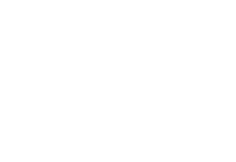 Insursa